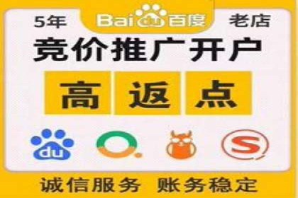 专业SEM代运营公司案例分析